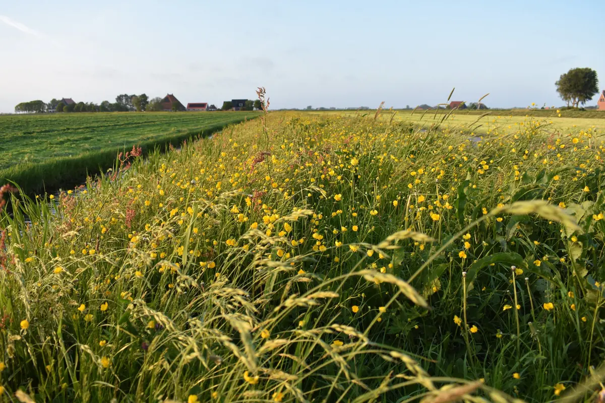 Walking the Tillefonnepad — Bibliotheek Workum, Workum
