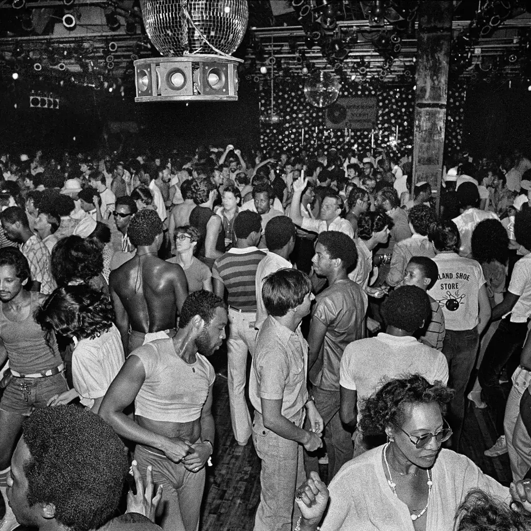 DISCO I'm coming out — Wereldmuseum, Rotterdam
