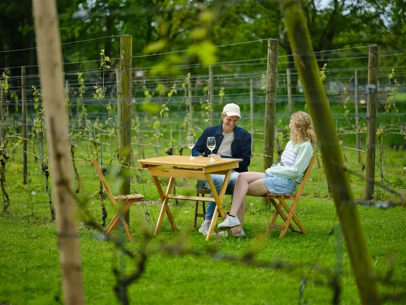 Picknick auf Wijngaard Zonnestraal — Wijngaard Zonnestraal, Hilversum
