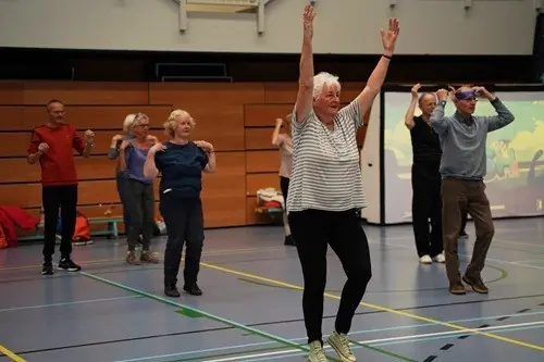 Swing Gym Trial Class 55+ — Nieuwegein