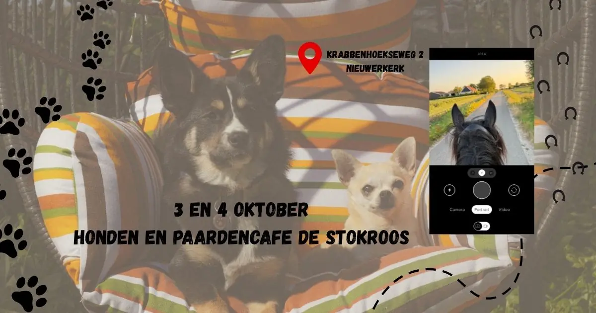 Honden en Paardencafe de Stokroos — Nieuwerkerk