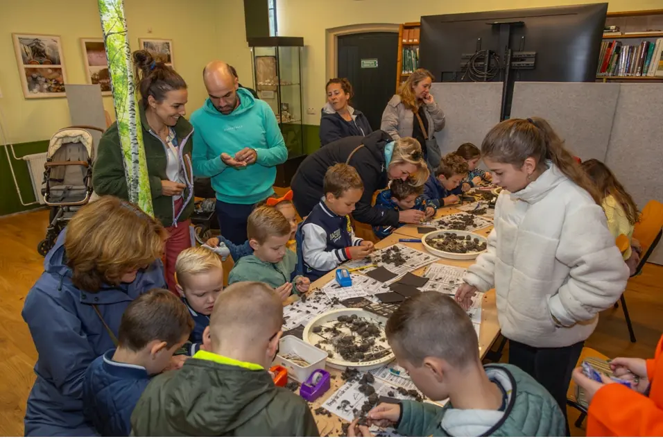 Koekeloerestruindag — Kasteel Geldrop, Geldrop