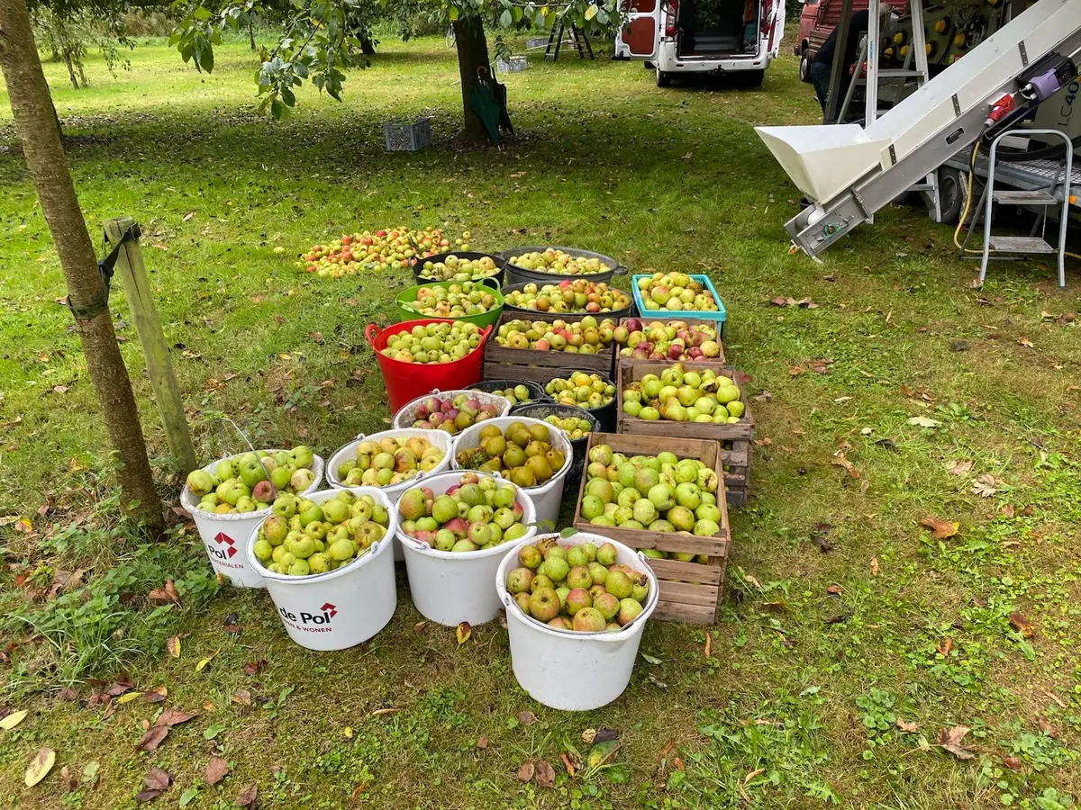 Fruitpressentag im Park van Pomona in Blauwestad — Blauwestad