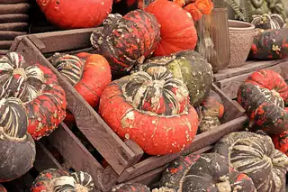 Autumn Braderie