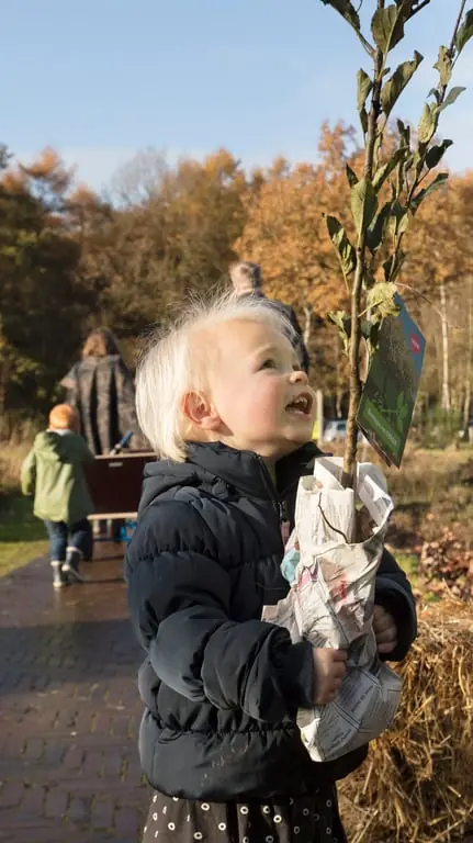 OERRR Tree Collection Day in 's-Graveland — Bezoekerscentrum Gooi en Vechtstreek, 's-Graveland