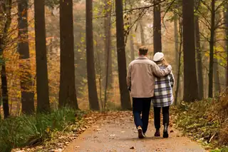Autumn Walk through Voornes Duin with Lunch at Brasserie Lodgers Rockanje
