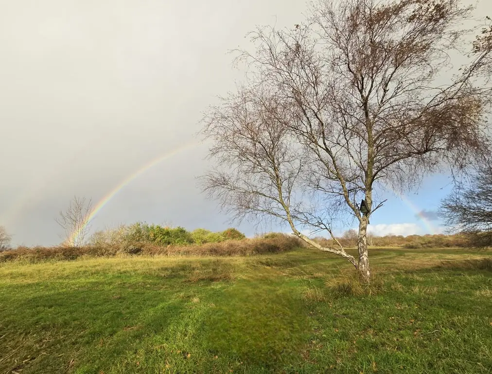 Workshop Landschap Schilderen — Boswachterskantoor Zuid-Hollandse Eilanden, Goedereede