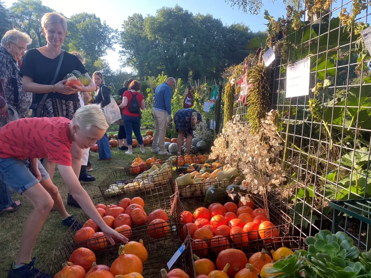 Pompoenendag Kindertuinen — Bussum
