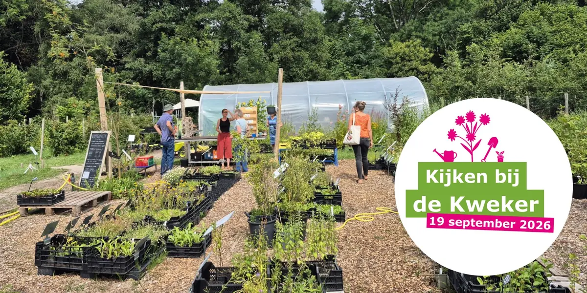 Visit the Grower: Outdoor Nursery — Delft