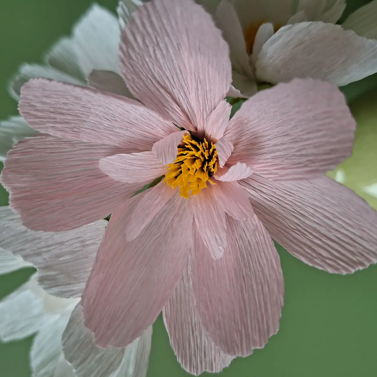 Cosmos Crepe Paper Flower Workshop — Delft