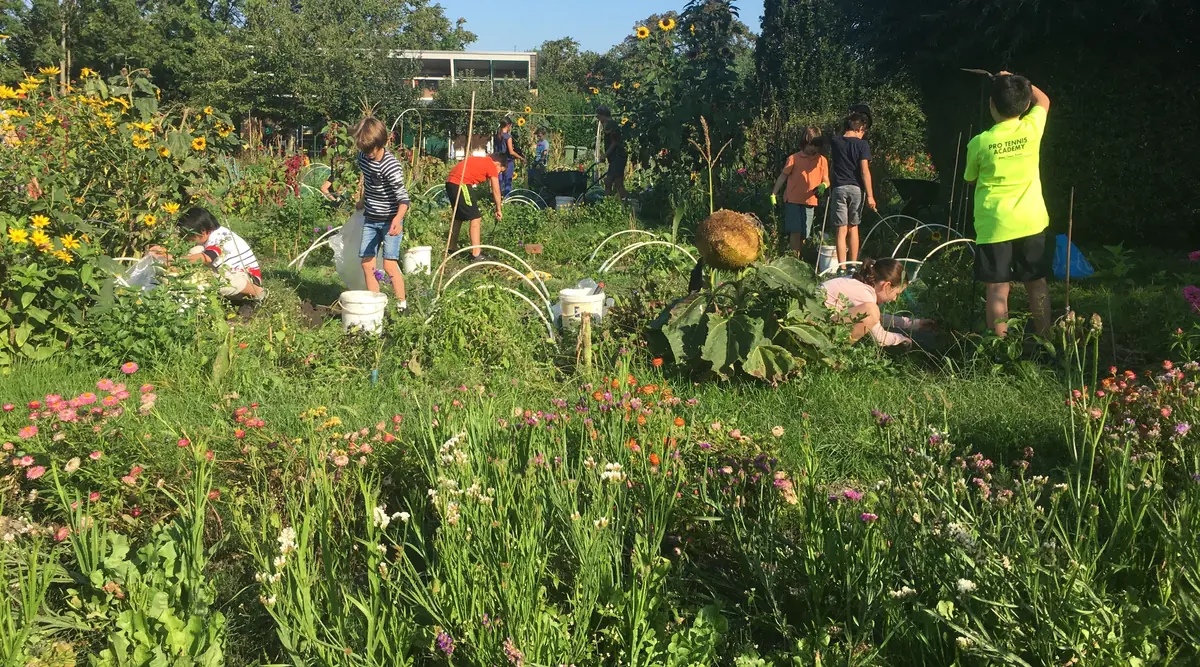 100th Anniversary Garden Club Games Afternoon for Children in Delft — Delft