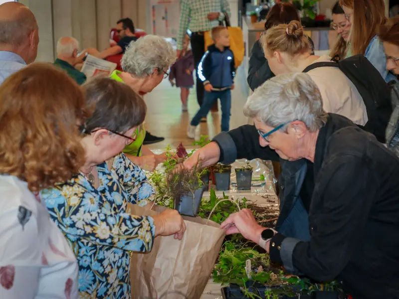 Groei & Bloei Plant and Cutting Exchange Market — Veenendaal