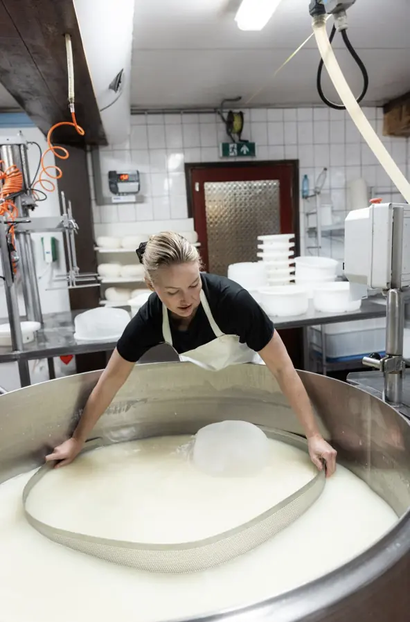 Cheese-Making Workshop — Amsterdamse Bos, Amstelveen