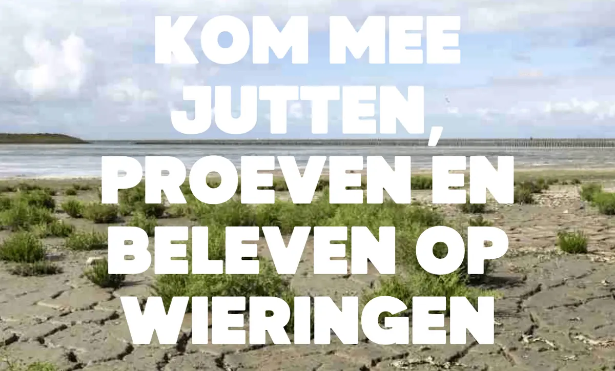 Help Clean Up the Wieringer Wad! — Den Oever – Havenboet, Den Oever
