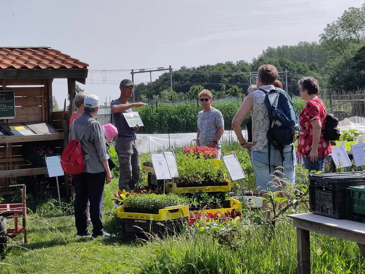 Führung durch den Selbsterntegarten De Groentemeester — Weij, Maassluis