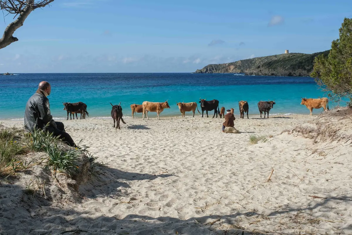 La Vita va Cosi — Podium 't Beest, Goes