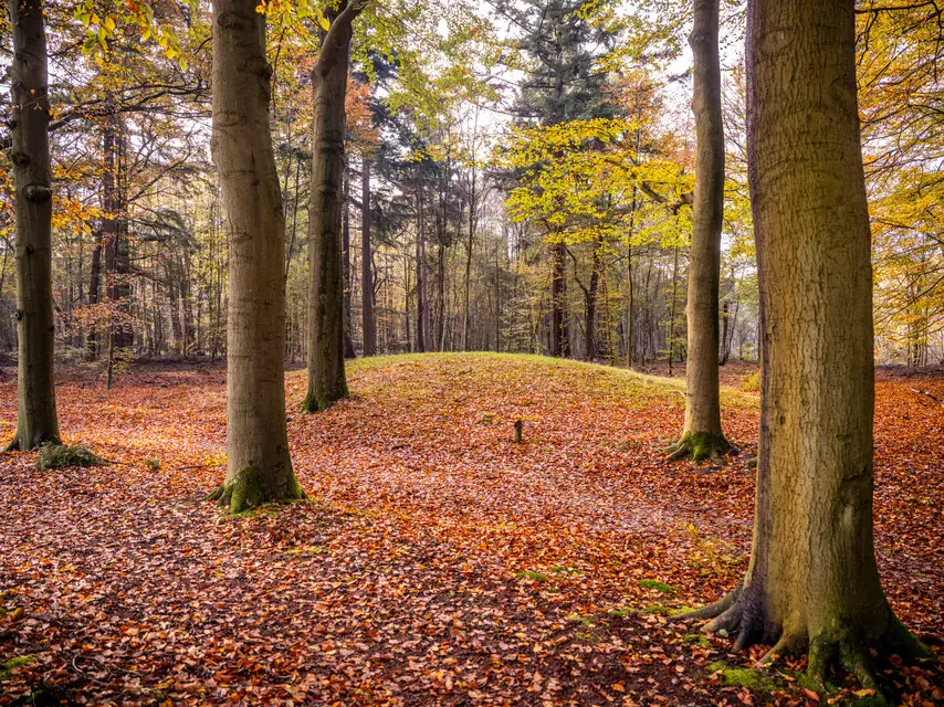 OERRR - Make an Autumn Discovery Box — Bezoekerscentrum De Wielewaal, Eindhoven