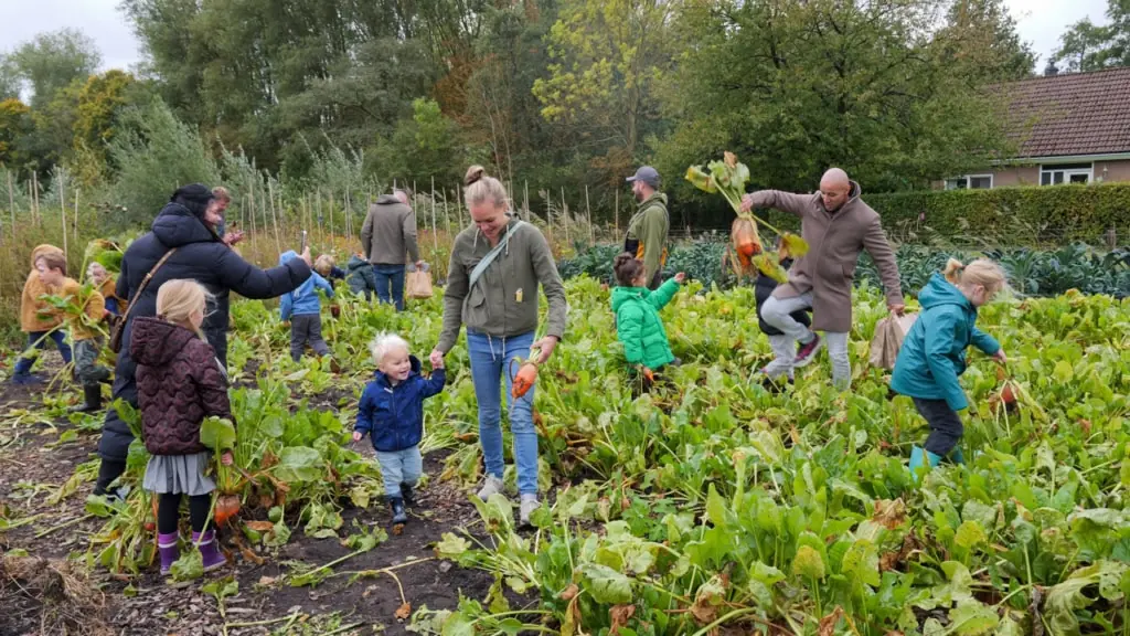 Autumn Festival — Spaarnwoude Park, Velsen-Zuid