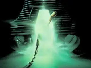 Zienema: The Fly