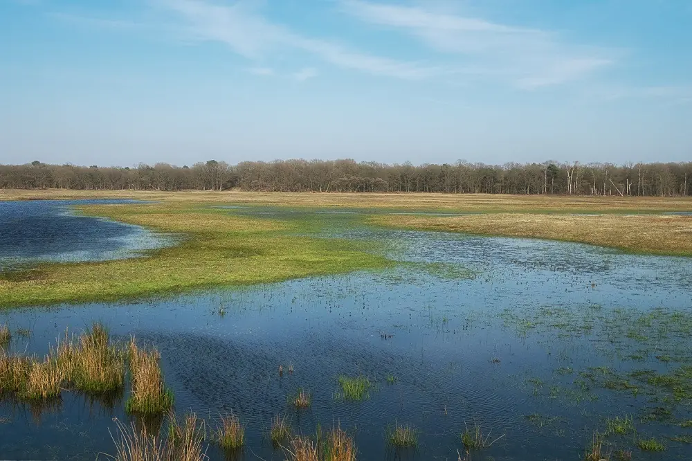 Public Walk at Laarder Wasmeer — Laren