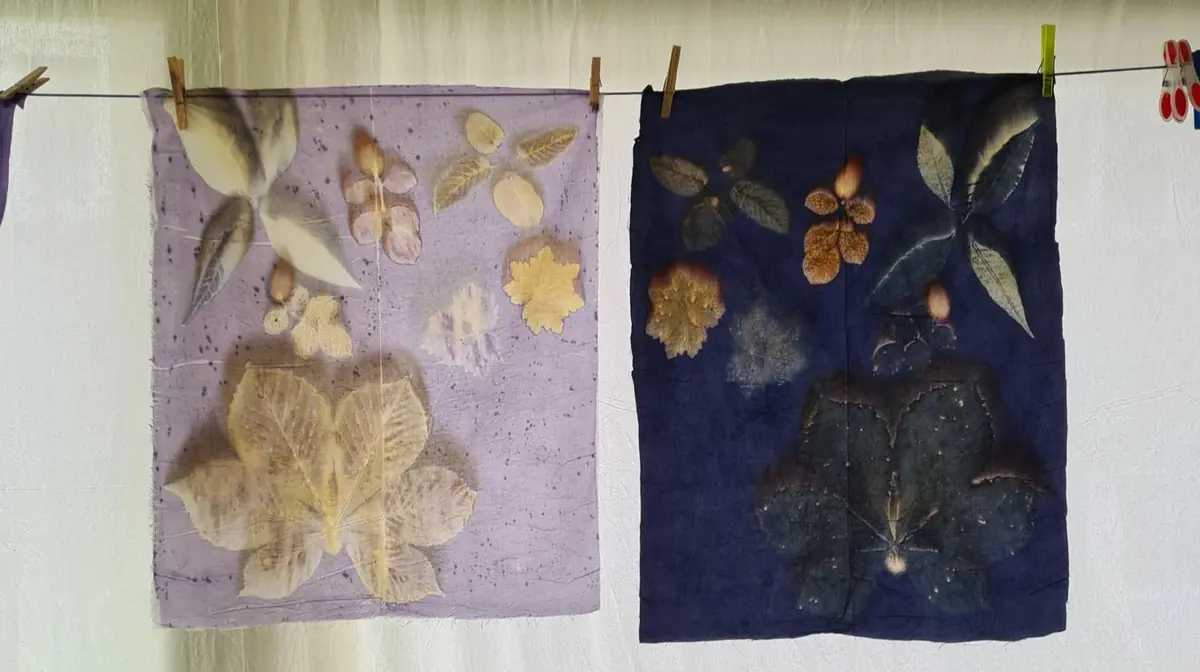 Eco-printing & Bundle Dye - Dinah Smutny — Delft