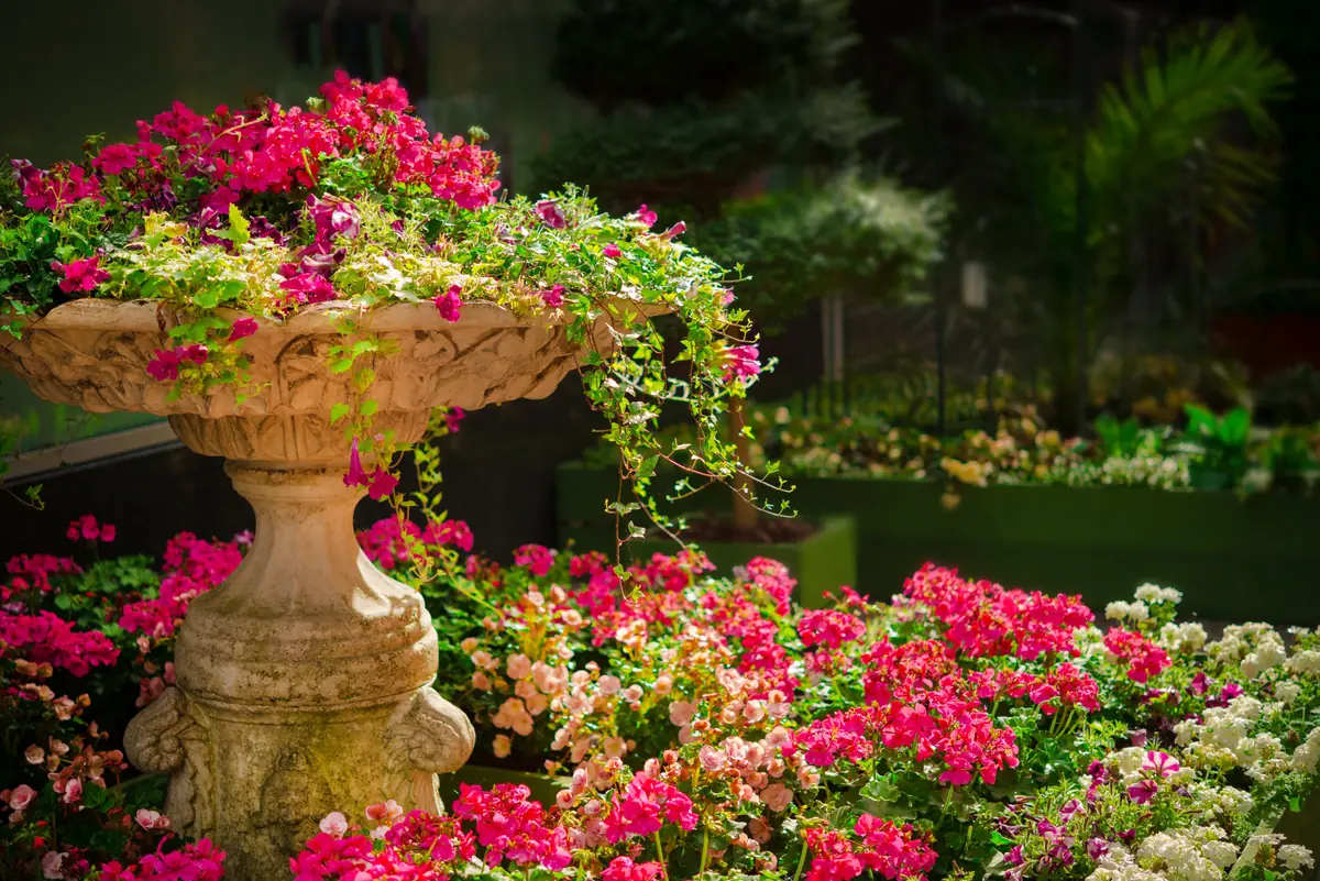Workshop Design Your Own Flower Border — Schijndel