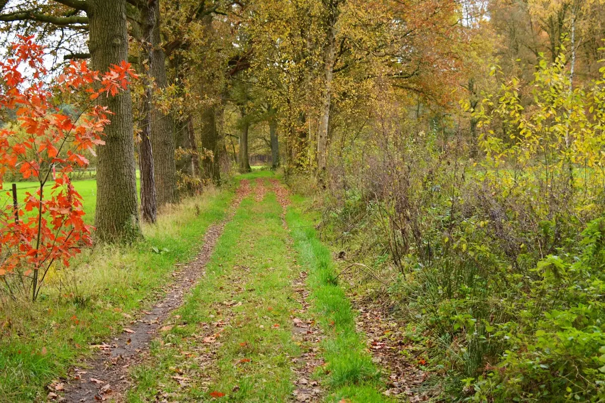 Best Kort | Autumn Walk — Best