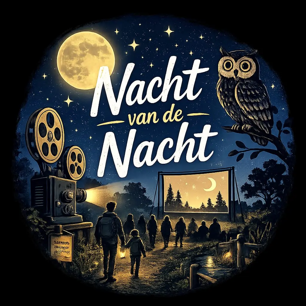Experience the Night of the Night in Made — Made
