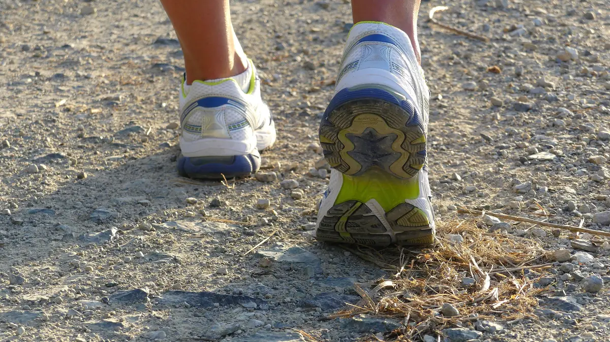 Vlagheideberg Trailrun — Eerde