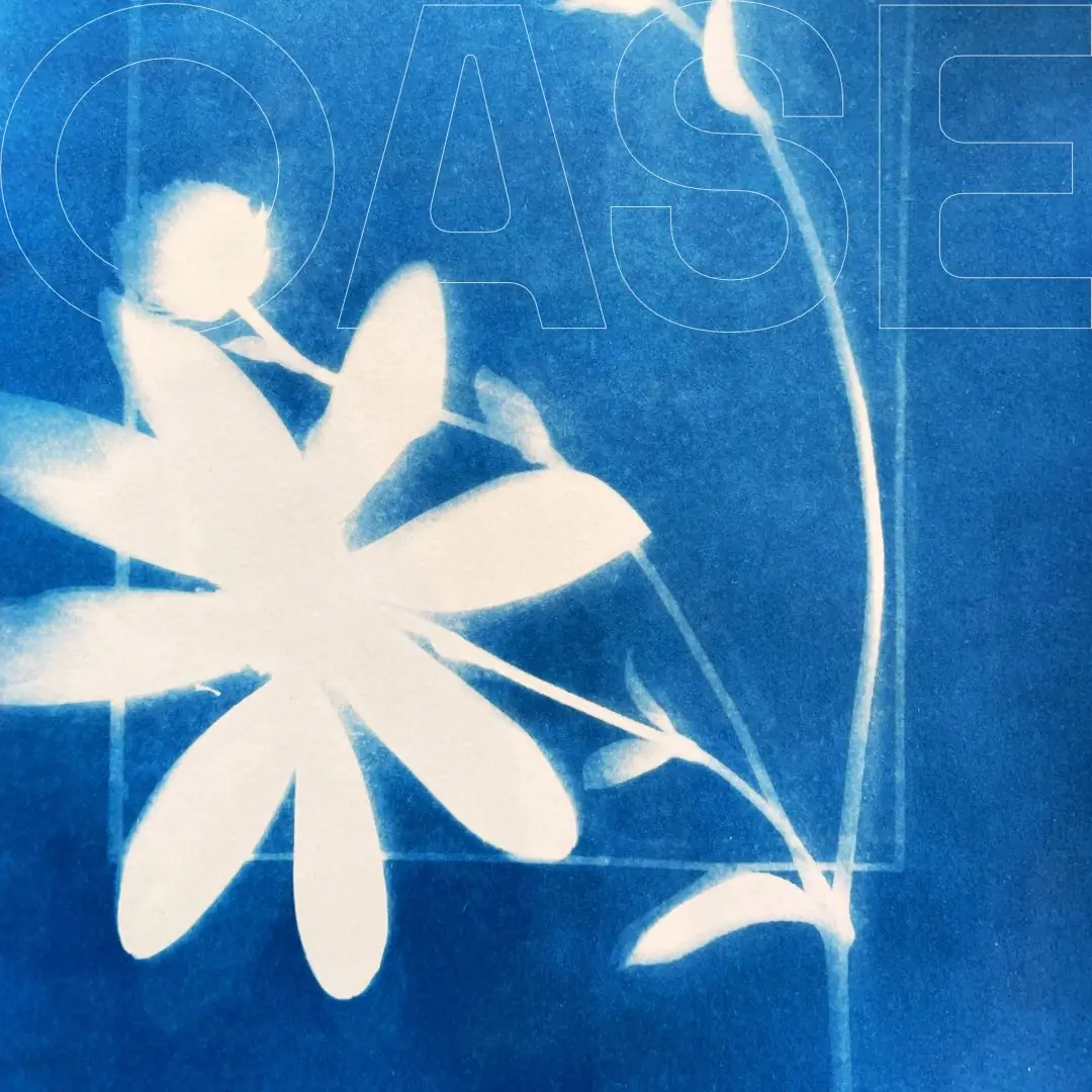 Playground: Cyanotype Workshop — OASE, Rotterdam