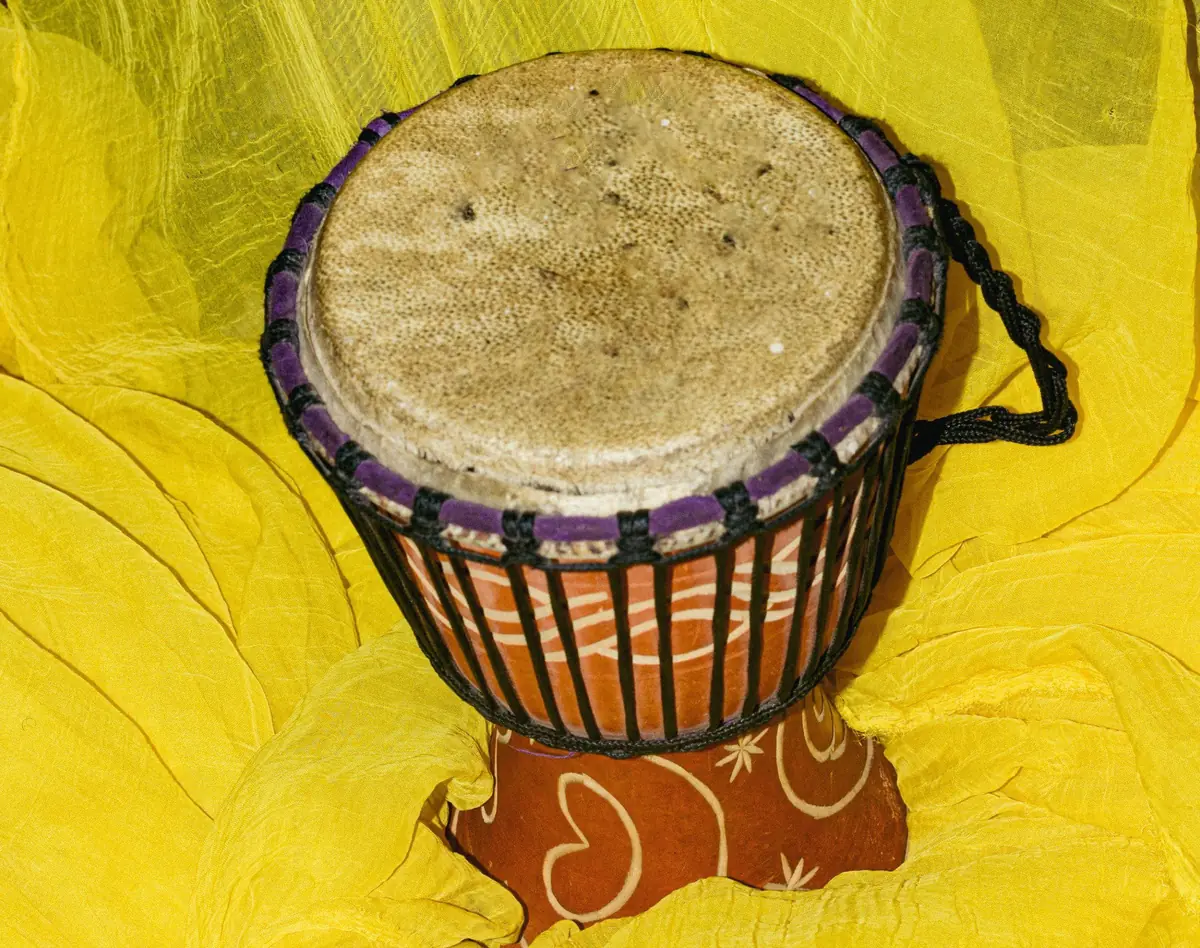 DjembΓ© Workshop - Drum Along and Make Your Voice Heard! β Stadkamer Stadshagen, Zwolle