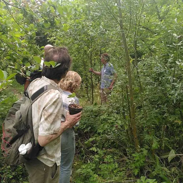 Guided Tour of Voedselbos Vlaardingen β Voedselbos Vlaardingen, Vlaardingen