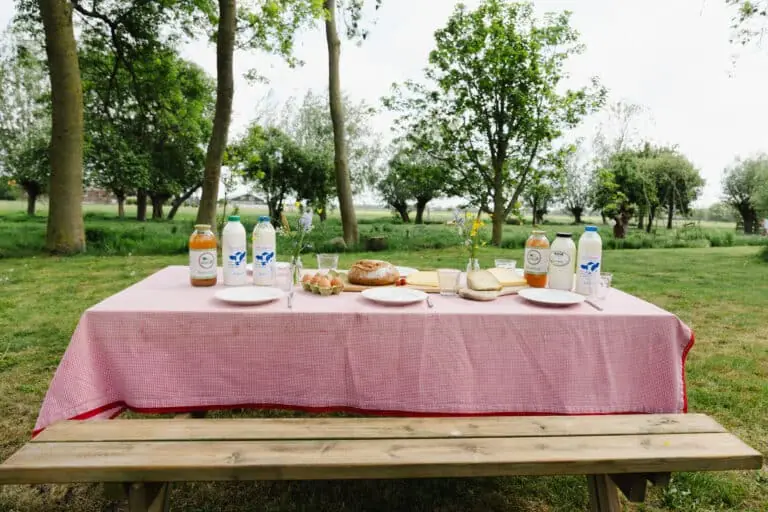 Einzigartiges Regionallunch in Midden-Delfland mit unterhaltsamer Aktivität bei Weij — Weij Bar, Maassluis