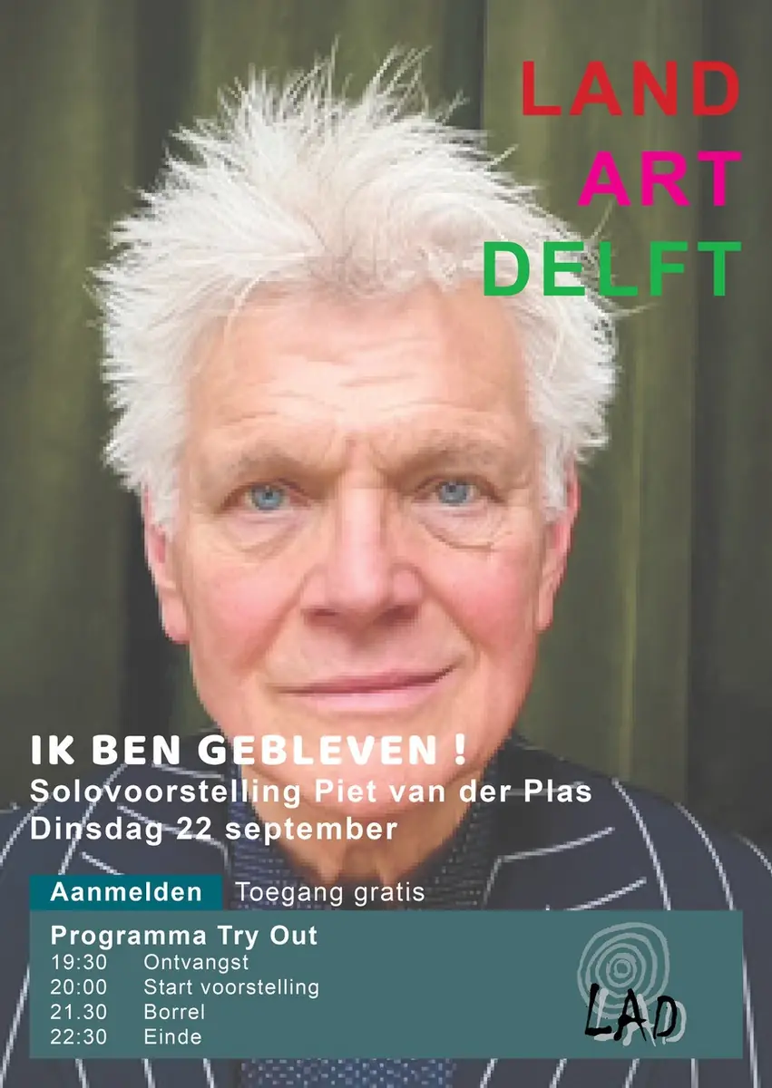 'I Stayed' by Piet van der Pas — Delft