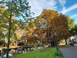 Autumn Boat Trip in IJsselstein