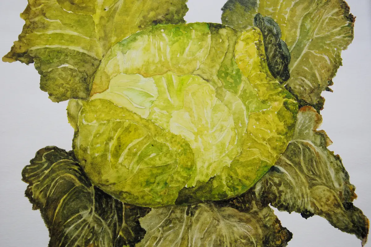 Exhibition by Corrie Geurts van Kessel — Appingedam