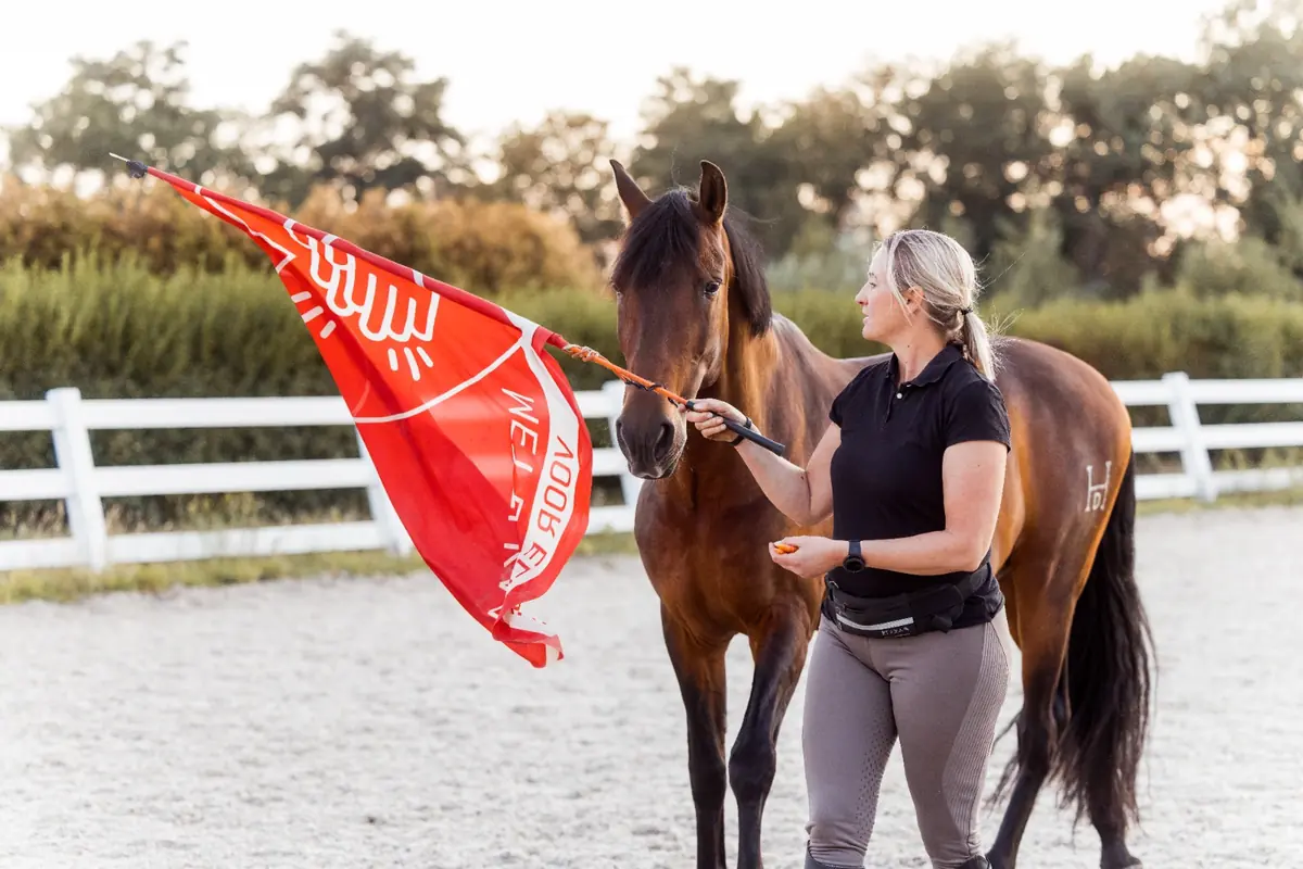 Benefit Day for Horse Lovers — Schaijk