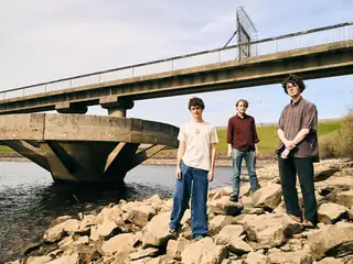 Shaking Hand (UK)