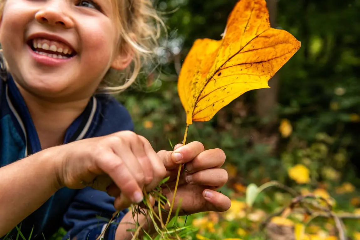 OERRR Herfstknutsels — Parkeerplaats Foarwurker Wei, Bakkeveen