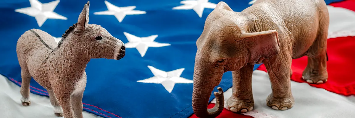 Let's Ask | US Midterms: Could the Balance Be Restored? — Usva, Groningen