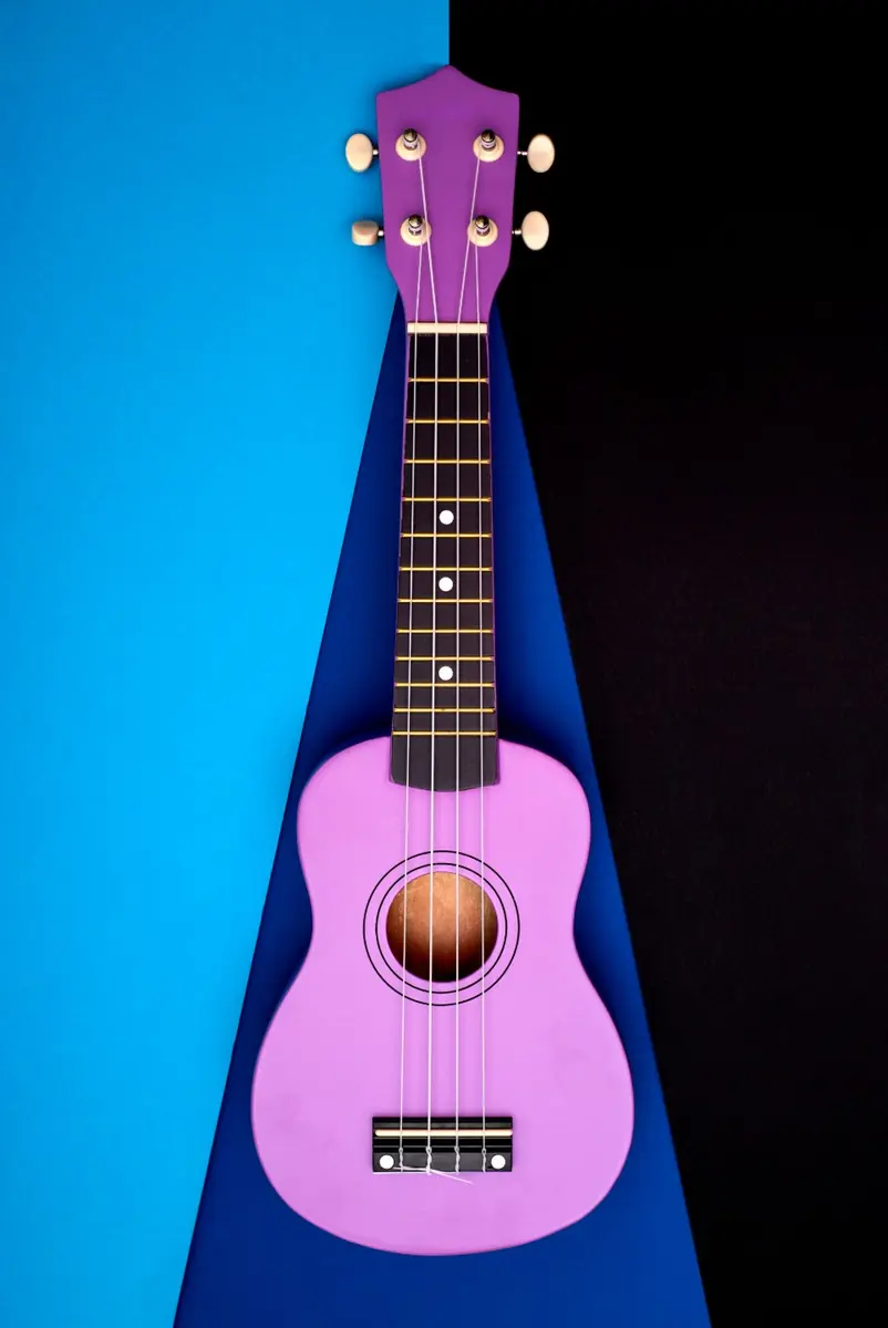Ukulele Workshop β Stadkamer Stadshagen, Zwolle