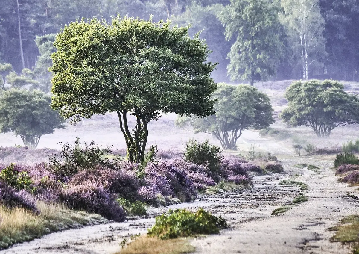 Discover the Vechtstreek through the lens of local photographers β Loenen aan de Vecht