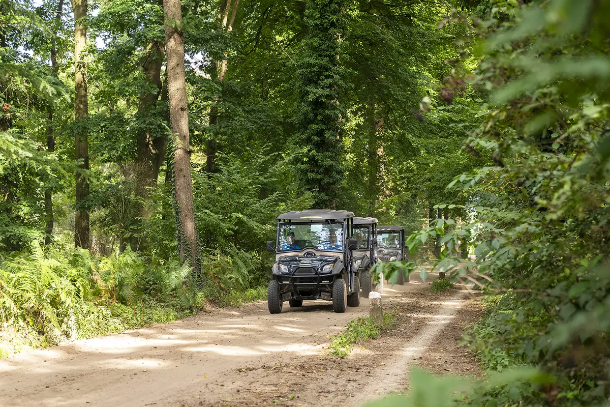 Wild Kiek'n Safari in Winterswijk — Winterswijk-Ratum