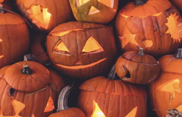 Buddycafe: Make a Pumpkin Lantern — Arnhem