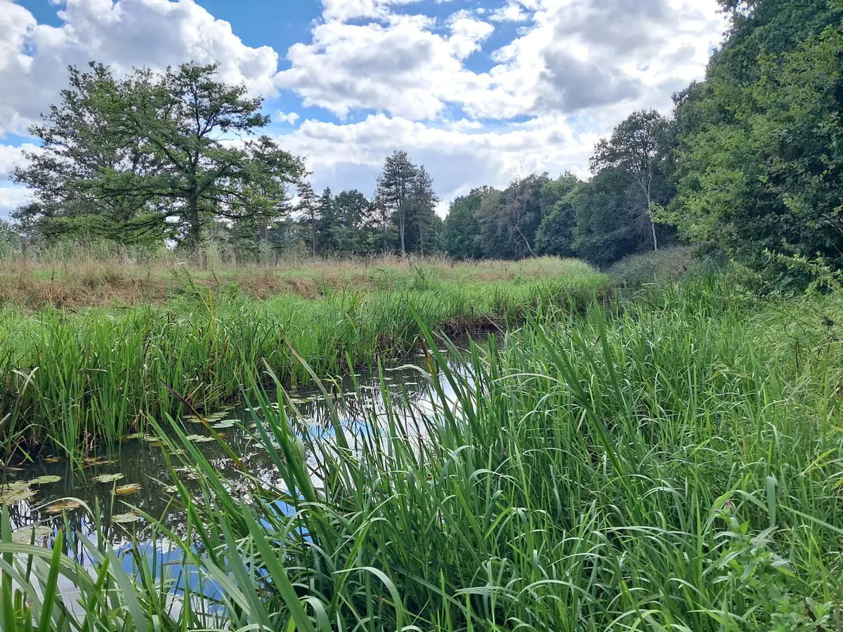 Walk along the Beerze and visit De Stroom — Liempde