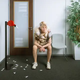 Buikzwam - Kompagnie Kistemaker