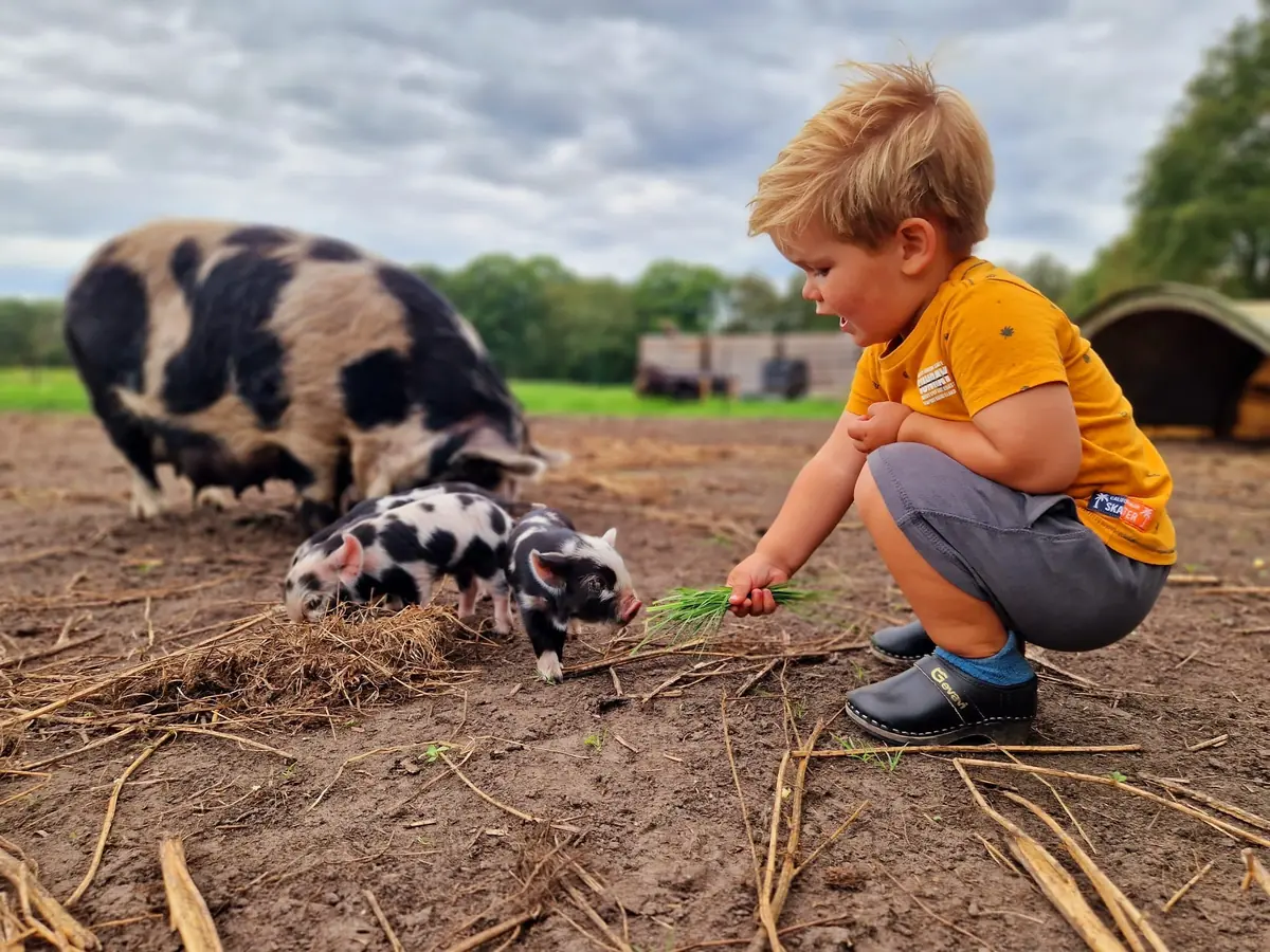 Toddler Outing | Brave at the Farm — Valthermond