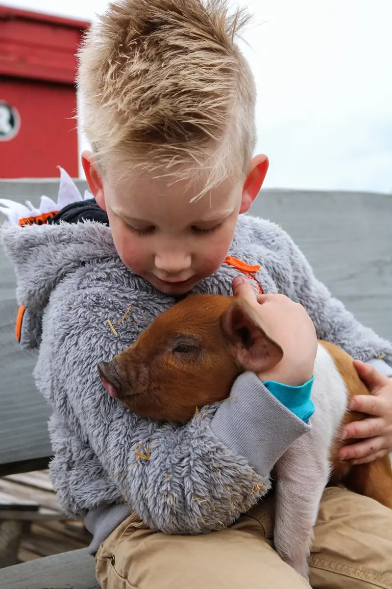 Farm Outing - Tough at the Farmer's — Valthermond