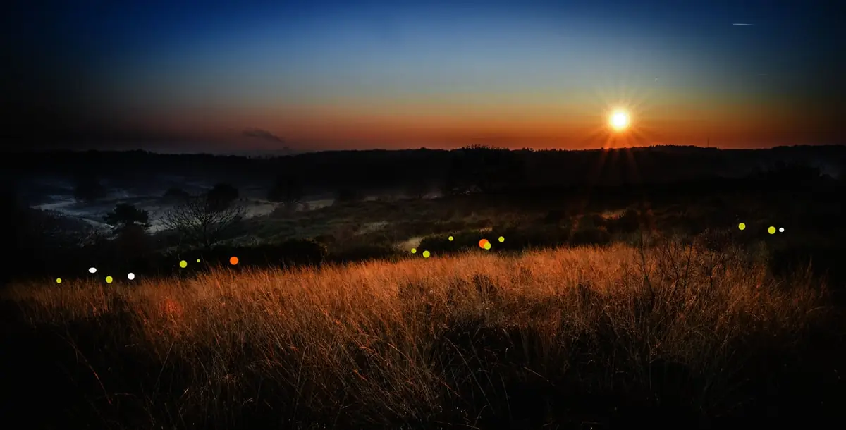 OERRR (Ages 4-12) Light Story Walk - Storytellers on Veluwezoom — Parkeerplaats Heuvenseweg, Rheden