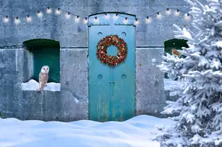 Christmas at Fort bij Nigtevecht